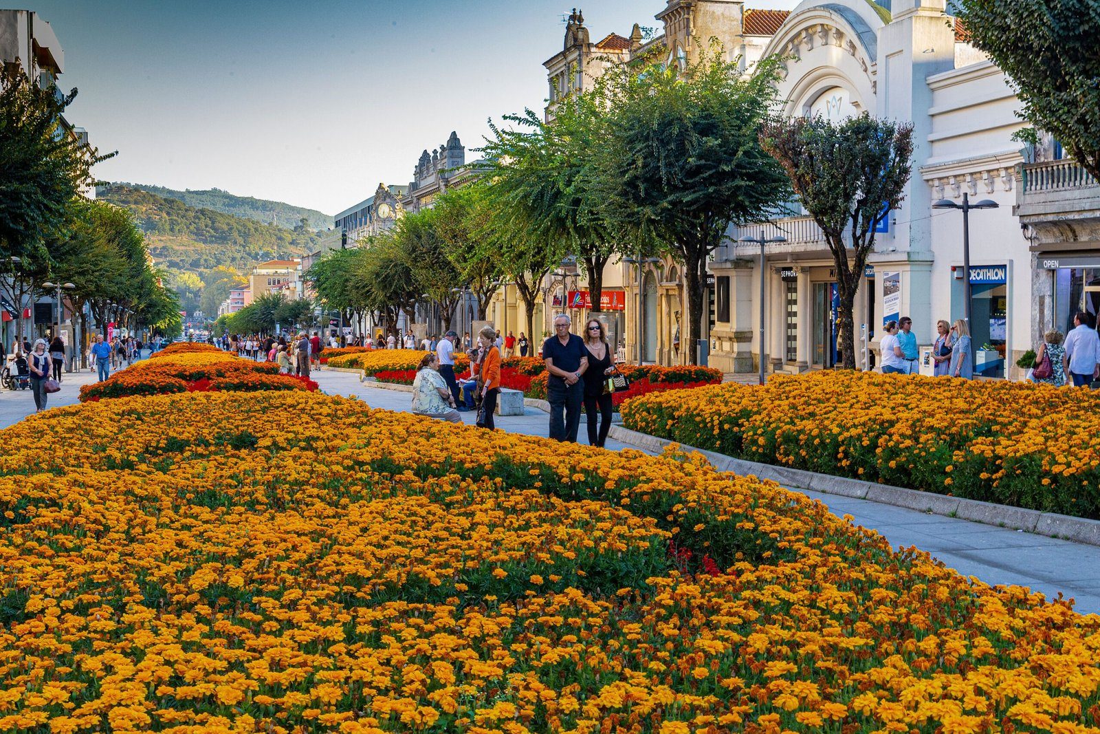 Avenue in the historic centre of Braga